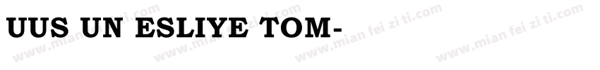 UUS UN ESLIYE TOM字体转换